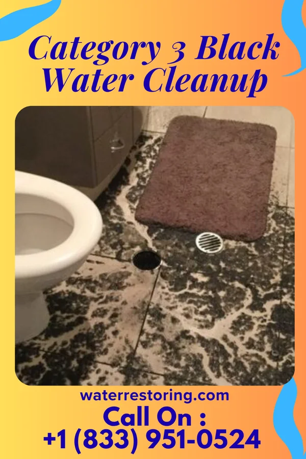 Category 3 Black Water Cleanup in Vander, NC