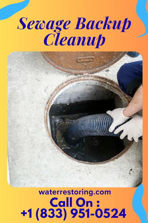 Sewage Backup Cleanup in Vander, NC